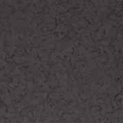 Textured dark surface with irregular patterns.