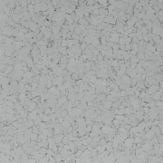 Textured gray surface with speckles.