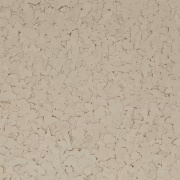 Textured beige surface with speckles
