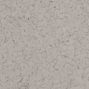 Textured gray surface with flakes